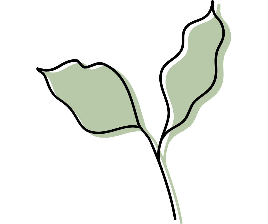 Coaching mocnych stron online