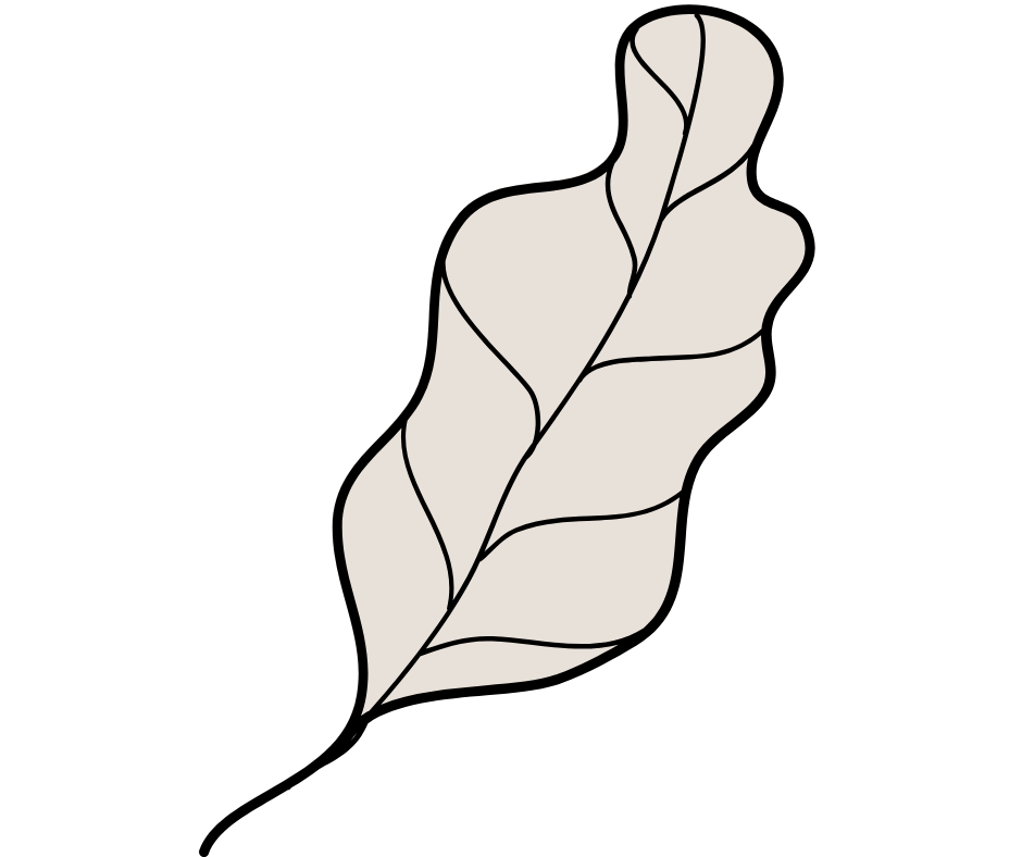 Karolina Augustyniak – rozwój oparty na talentach Gallupa